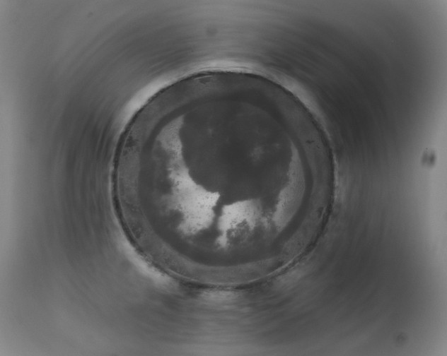 X0000111441237200907131257