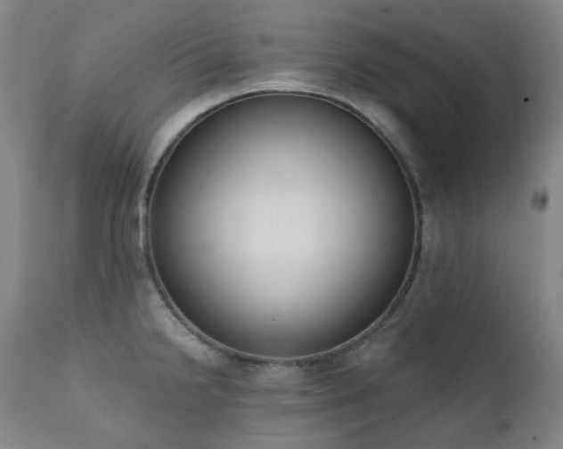 X0000111441238200907131257