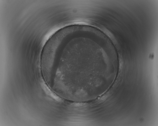 X0000111441240200907131258