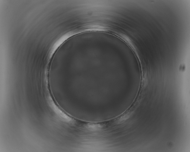 X0000111441243200907131258