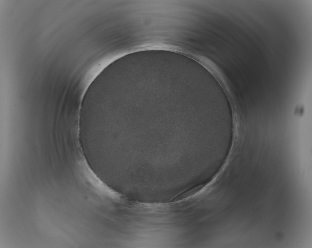 X0000111441244200907131258