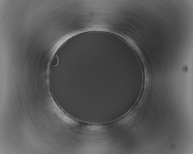 X0000111441246200907131258