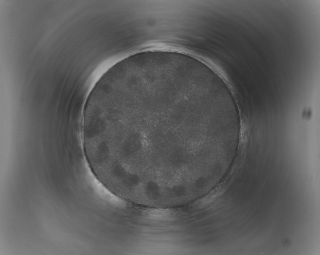 X0000111441247200907131258