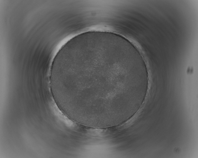X0000111441248200907131258