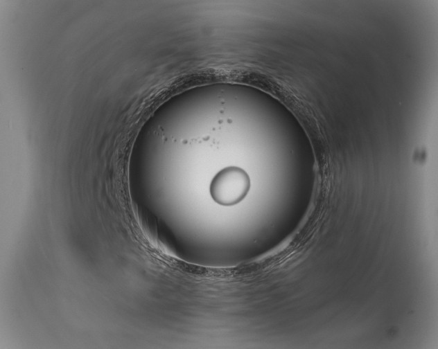 X0000111441249200907131257
