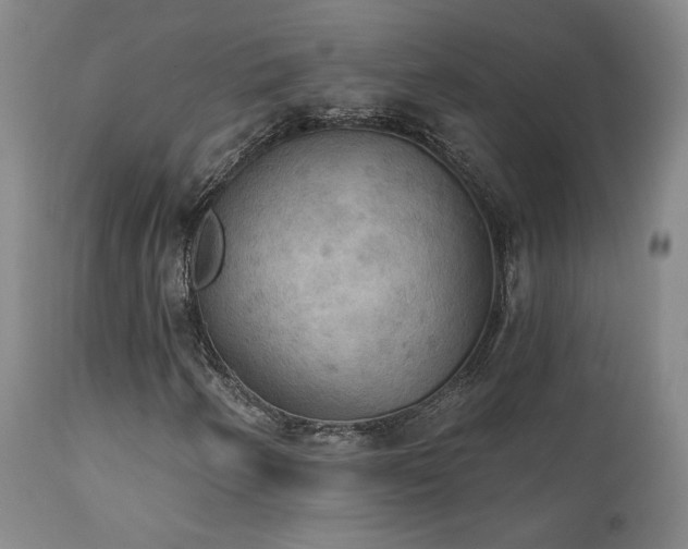 X0000111441250200907131257