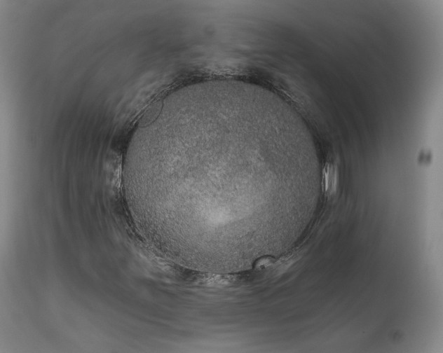 X0000111441251200907131257