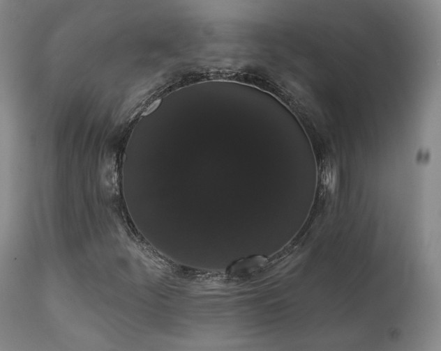 X0000111441252200907131257