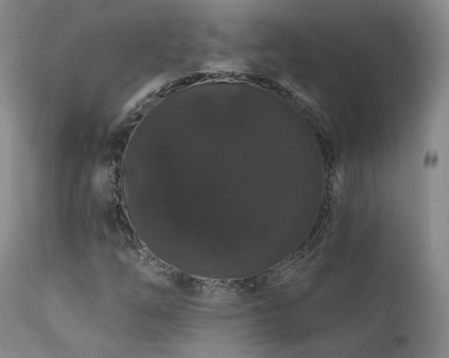 X0000111441254200907131257