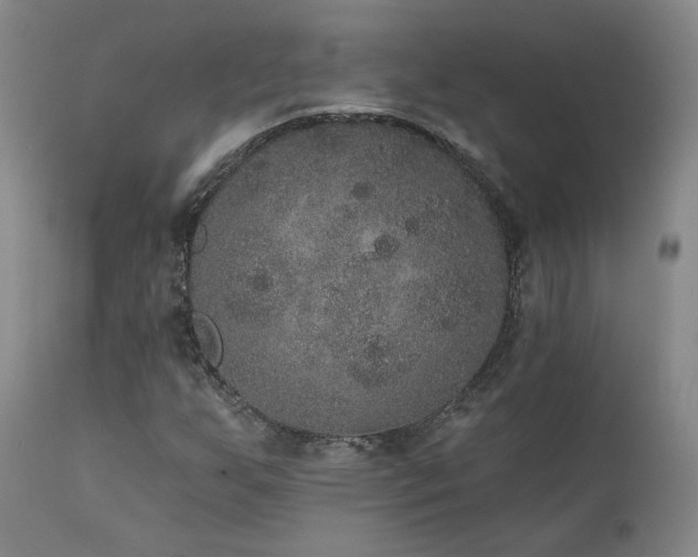 X0000111441255200907131257