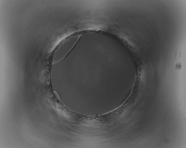 X0000111441256200907131257
