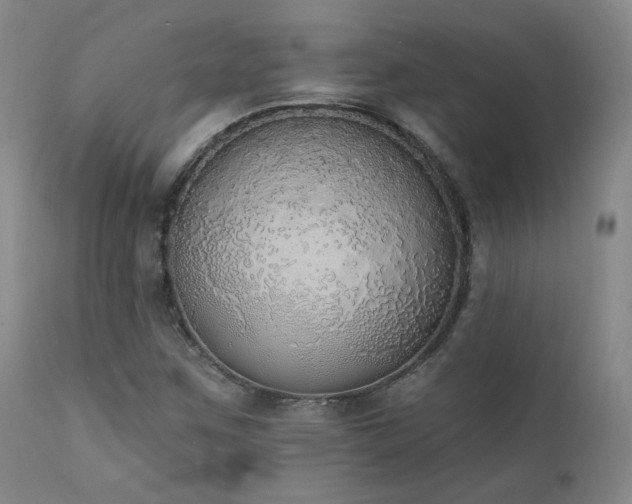 X0000111441259200907131257