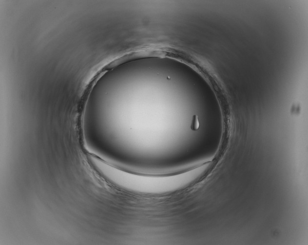X0000111441260200907131257
