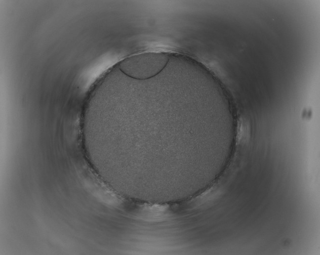 X0000111441261200907131257