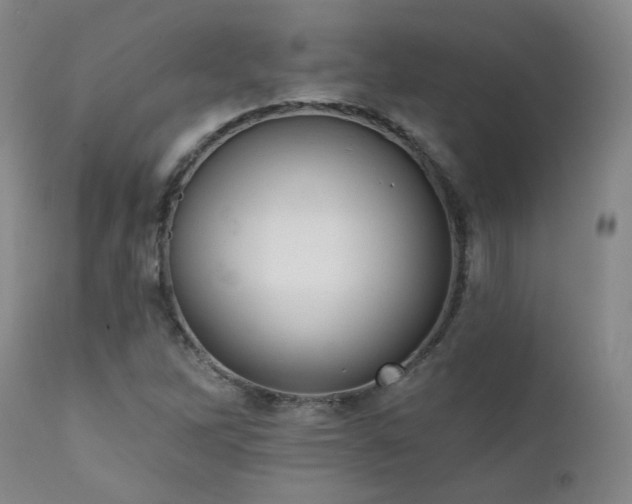 X0000111441262200907131257