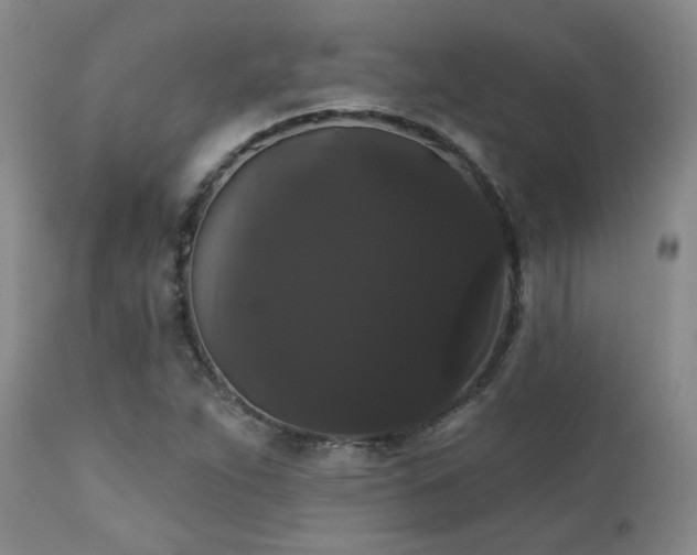 X0000111441263200907131257