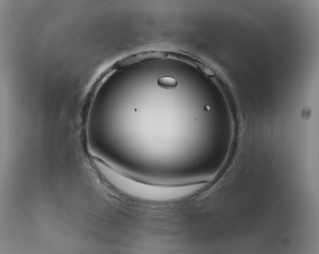 X0000111441264200907131257