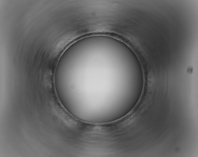 X0000111441265200907131257