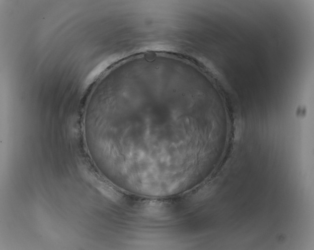 X0000111441266200907131257