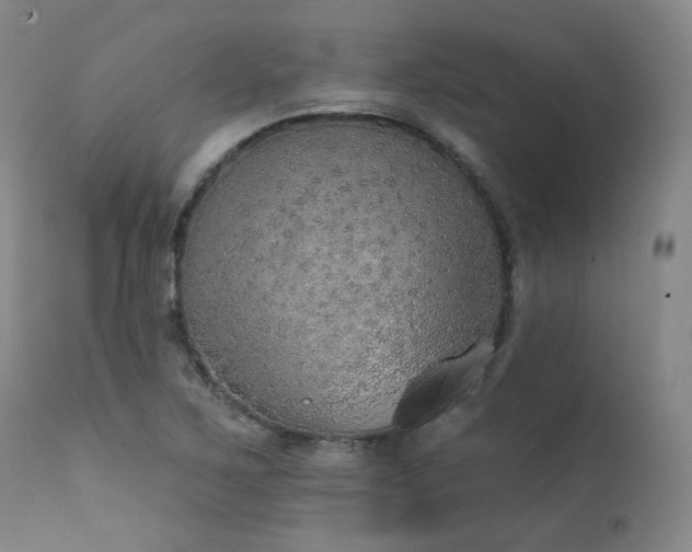 X0000111441267200907131257