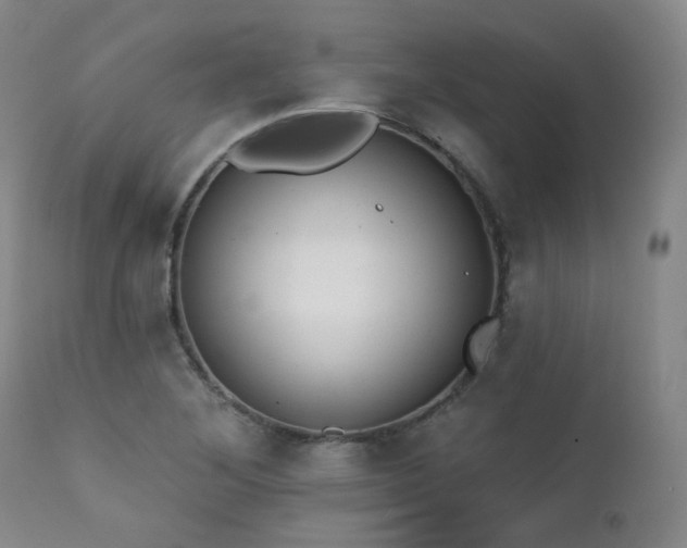 X0000111441268200907131257