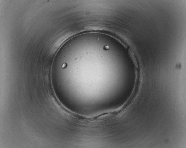 X0000111441273200907131257