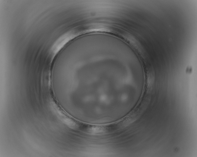 X0000111441274200907131257