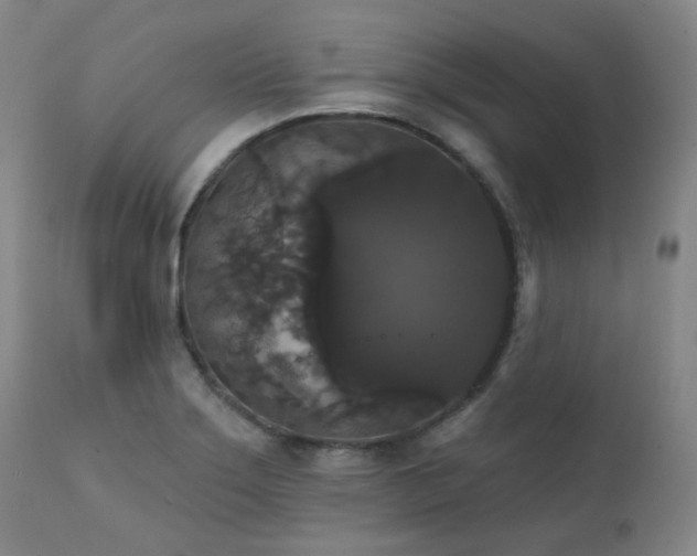 X0000111441275200907131257