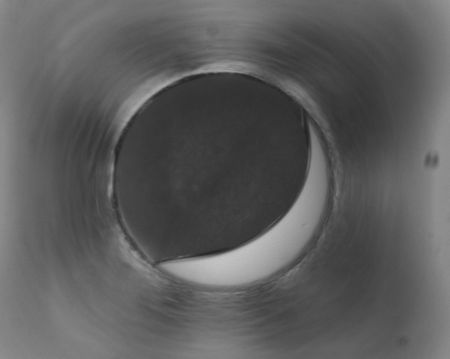 X0000111441276200907131257