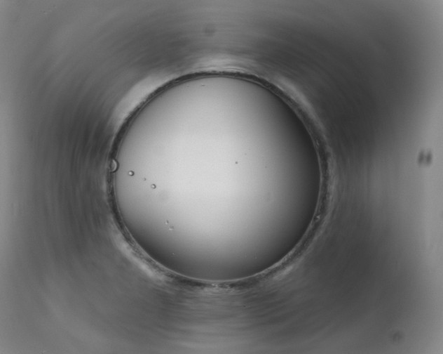 X0000111441277200907131257