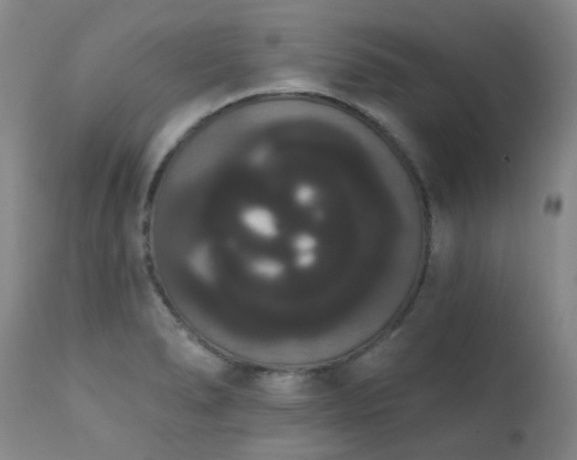 X0000111441278200907131257