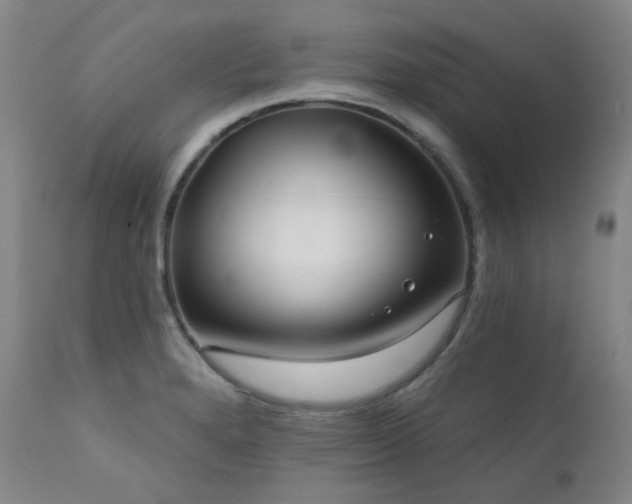 X0000111441280200907131257