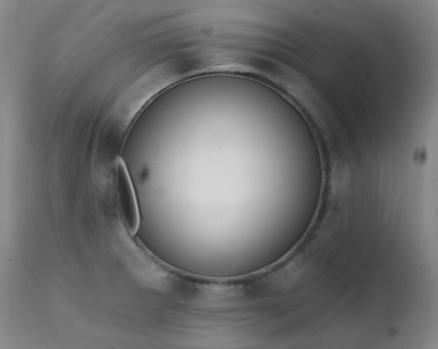 X0000111441281200907131257