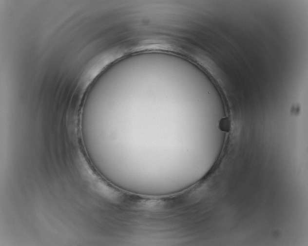X0000111441282200907131257
