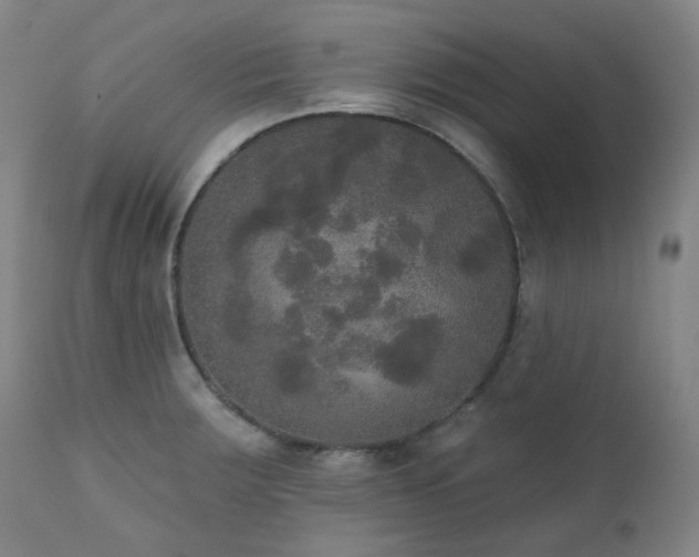 X0000111441283200907131257