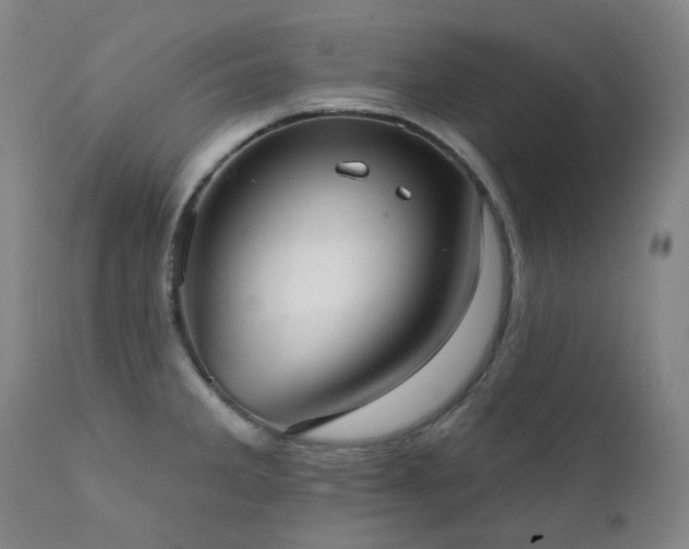 X0000111441285200907131256