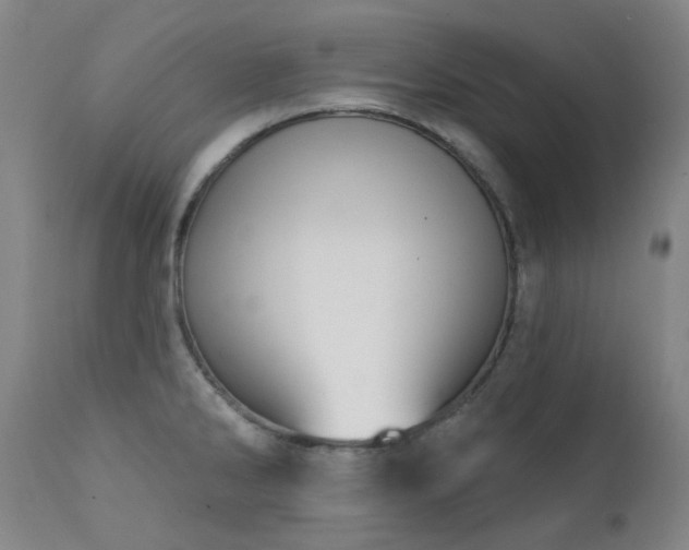 X0000111441286200907131256