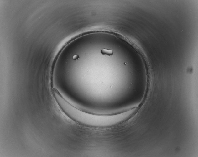 X0000111441288200907131256