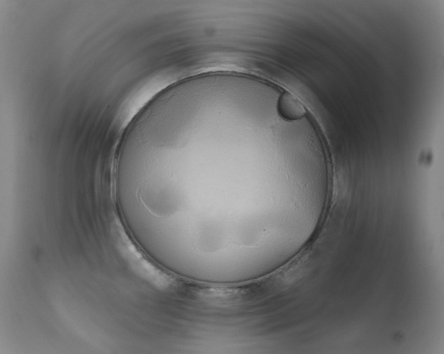 X0000111441290200907131256