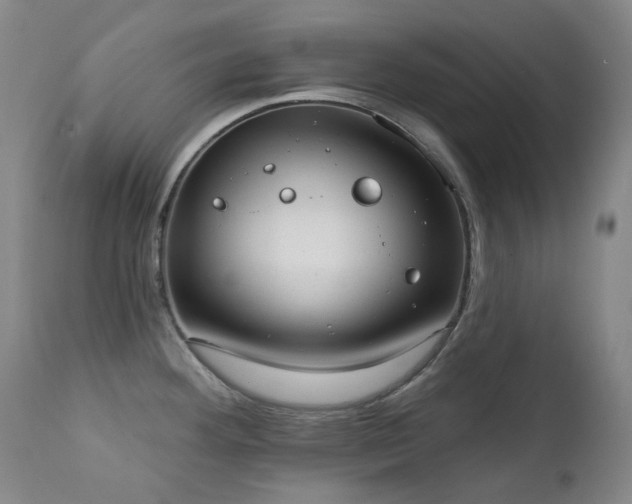 X0000111441292200907131256