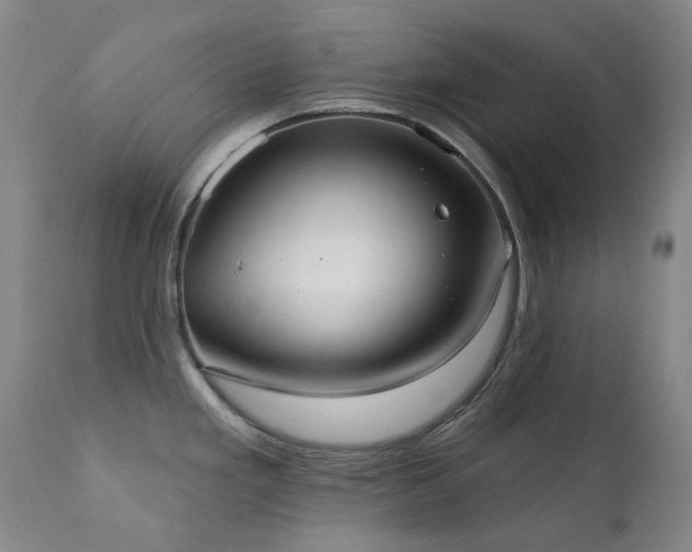 X0000111441293200907131256