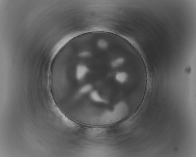 X0000111441294200907131256