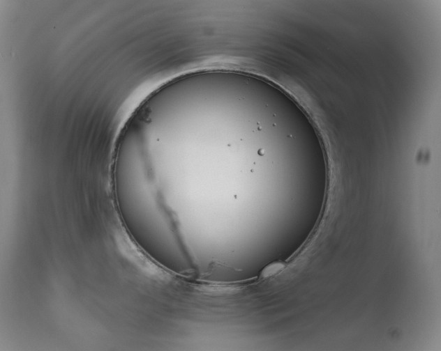 X0000111441296200907131256