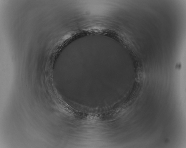 X0000111441297200907131255
