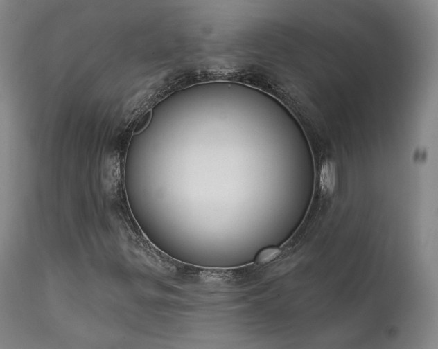 X0000111441299200907131255