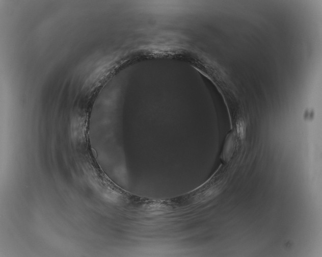 X0000111441300200907131255