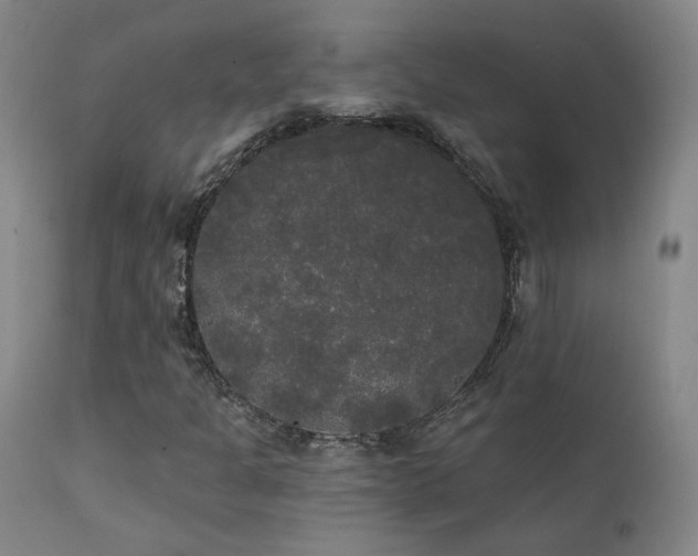 X0000111441301200907131256