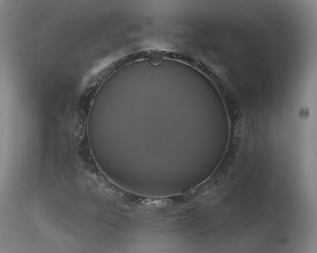 X0000111441303200907131256
