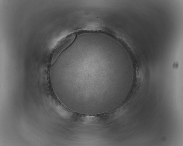 X0000111441304200907131256