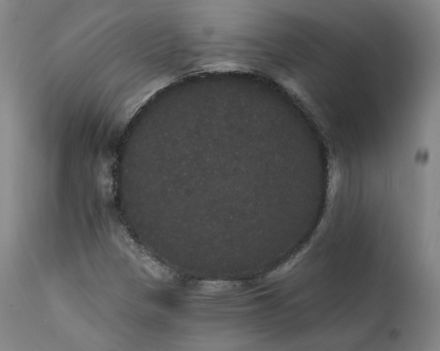 X0000111441305200907131256